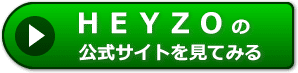 ＨＥＹＺＯの評価