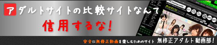 有料アダルトサイトの安全性