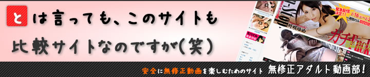 有料アダルトサイトの危険性
